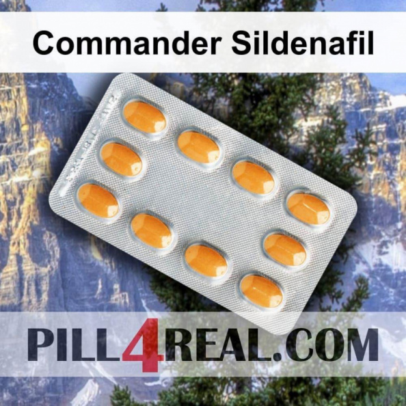 Commander Sildenafil 734