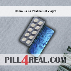Como Es La Pastilla Del Viagra 050