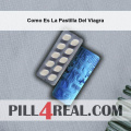 Como Es La Pastilla Del Viagra 050