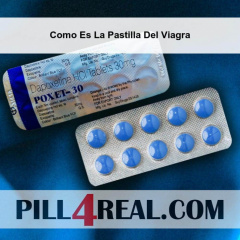 Como Es La Pastilla Del Viagra 070