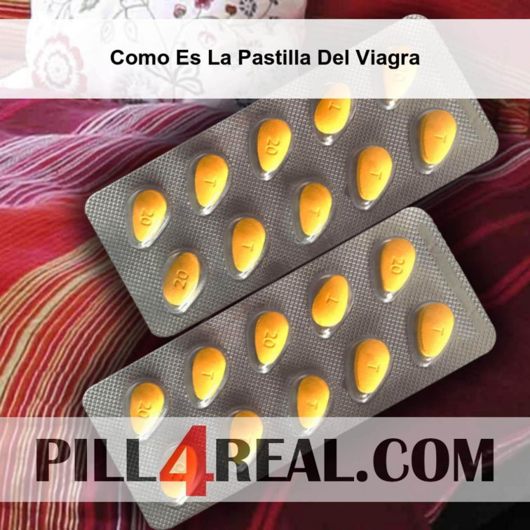 Como Es La Pastilla Del Viagra 226