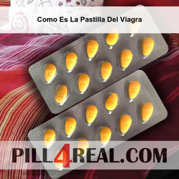 Como Es La Pastilla Del Viagra 226