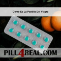 Como Es La Pastilla Del Viagra 248
