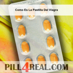 Como Es La Pastilla Del Viagra 256