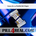 Como Es La Pastilla Del Viagra 298