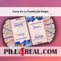 Como Es La Pastilla Del Viagra 377