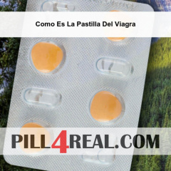 Como Es La Pastilla Del Viagra 408