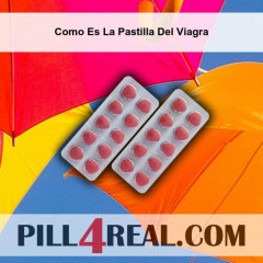 Como Es La Pastilla Del Viagra 449