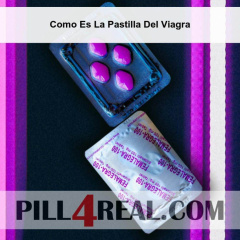 Como Es La Pastilla Del Viagra 475