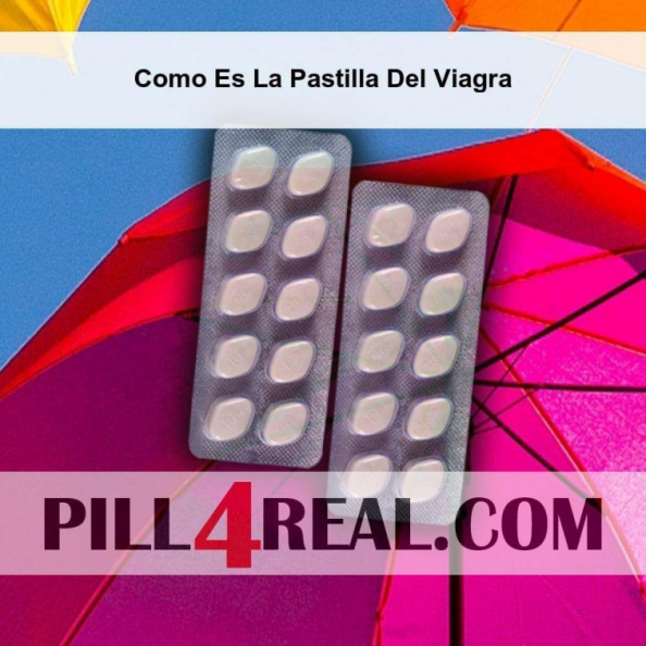 Como Es La Pastilla Del Viagra 488