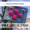 Como Es La Pastilla Del Viagra 515
