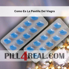 Como Es La Pastilla Del Viagra 519