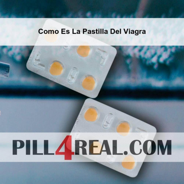 Como Es La Pastilla Del Viagra 528
