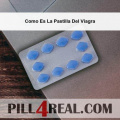 Como Es La Pastilla Del Viagra 559