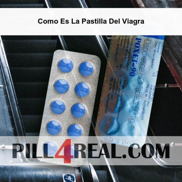 Como Es La Pastilla Del Viagra 580