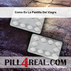 Como Es La Pastilla Del Viagra 591