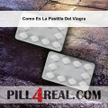 Como Es La Pastilla Del Viagra 591