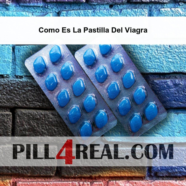 Como Es La Pastilla Del Viagra 595