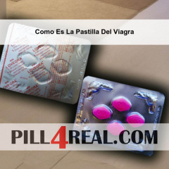 Como Es La Pastilla Del Viagra 665