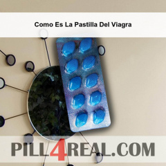 Como Es La Pastilla Del Viagra 683
