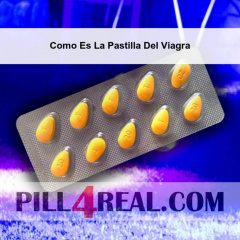 Como Es La Pastilla Del Viagra 701