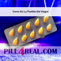 Como Es La Pastilla Del Viagra 701