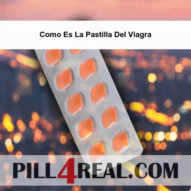 Como Es La Pastilla Del Viagra 841