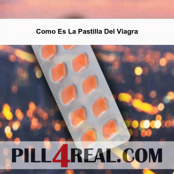 Como Es La Pastilla Del Viagra 841