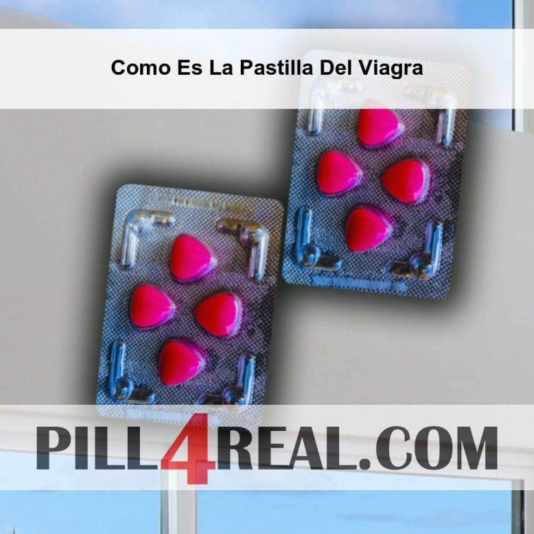 Como Es La Pastilla Del Viagra 865
