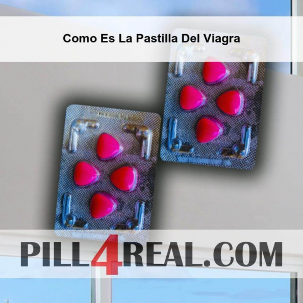 Como Es La Pastilla Del Viagra 865
