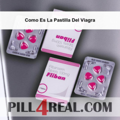 Como Es La Pastilla Del Viagra 898