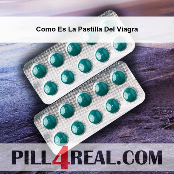 Como Es La Pastilla Del Viagra 917