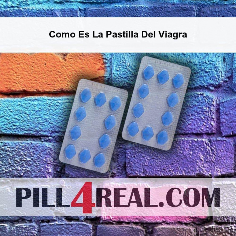 Como Es La Pastilla Del Viagra 932