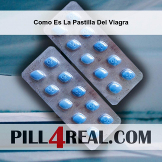 Como Es La Pastilla Del Viagra 969