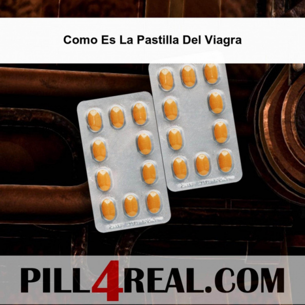 Como Es La Pastilla Del Viagra 983