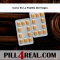 Como Es La Pastilla Del Viagra 983