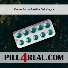 Como Es La Pastilla Del Viagra 989