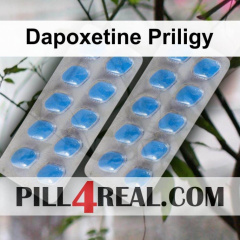 Dapoxetine Priligy 730