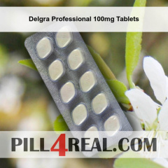 Delgra Professional 100mg Tablets 738