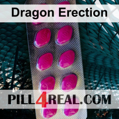 Dragon Erection 104