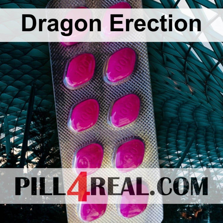 Dragon Erection 104