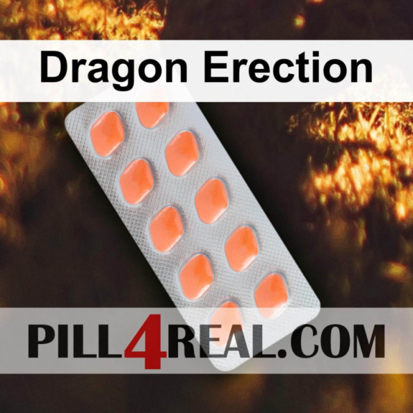 Dragon Erection 107