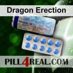 Dragon Erection 117