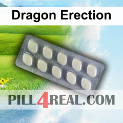 Dragon Erection 120
