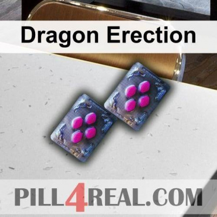 Dragon Erection 148