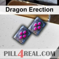 Dragon Erection 148