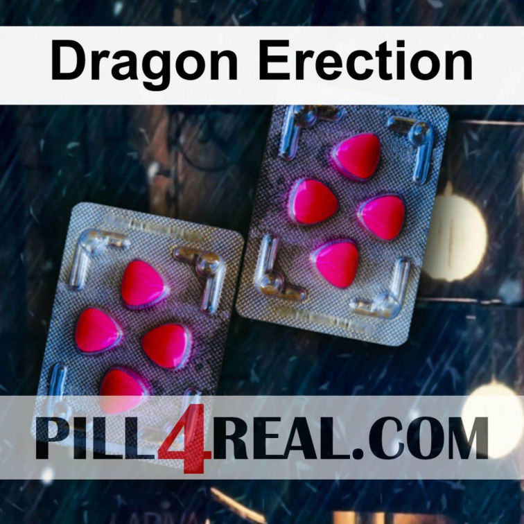 Dragon Erection 161