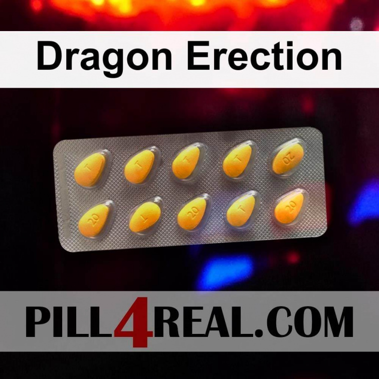 Dragon Erection 246