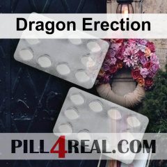 Dragon Erection 255