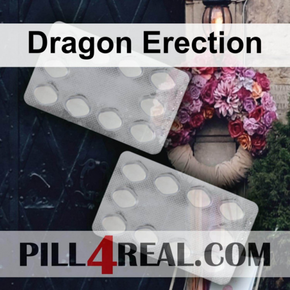Dragon Erection 255